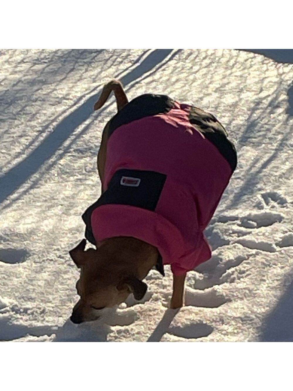 Pink and Black Dog Jacket